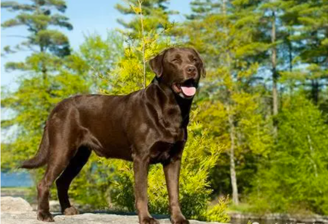 ��������Ȯ�ص�---����ѵȮ