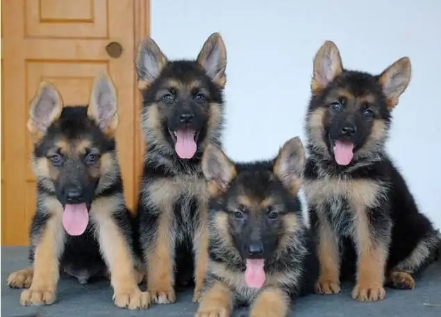 �¹�����Ȯ�ص�---����ѵȮ