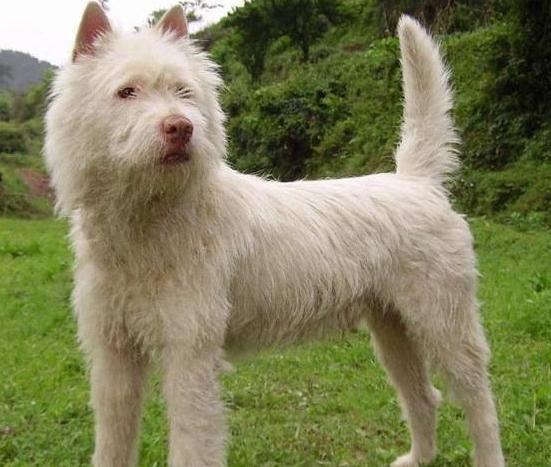 ��˾Ȯ�ص�---���ݼ���Ȯ