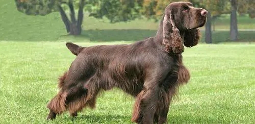 ������Ȯ�ص�---���ݼ���Ȯ