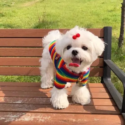 ������˹Ȯ�ص�----���ݼ���Ȯ