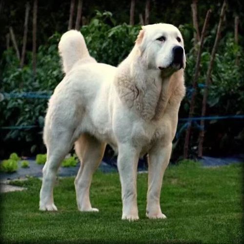 ��������Ȯ�ص�---���ݼ���Ȯ