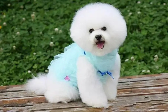 ����Ȯ�ص�---����ѵȮ