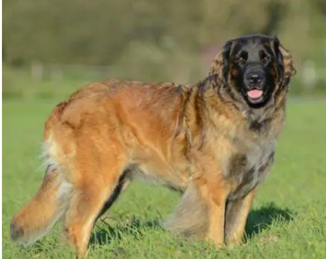 ������Ȯ�ص�---���ݼ���Ȯ