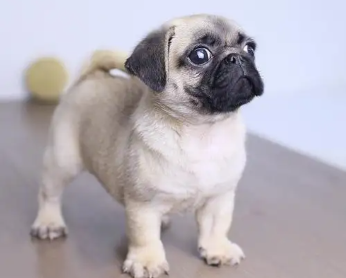 �˸�Ȯ�ص�---���ݼ���Ȯ