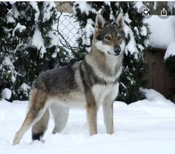 �ݿ���Ȯ�ص�---���ݼ���Ȯ