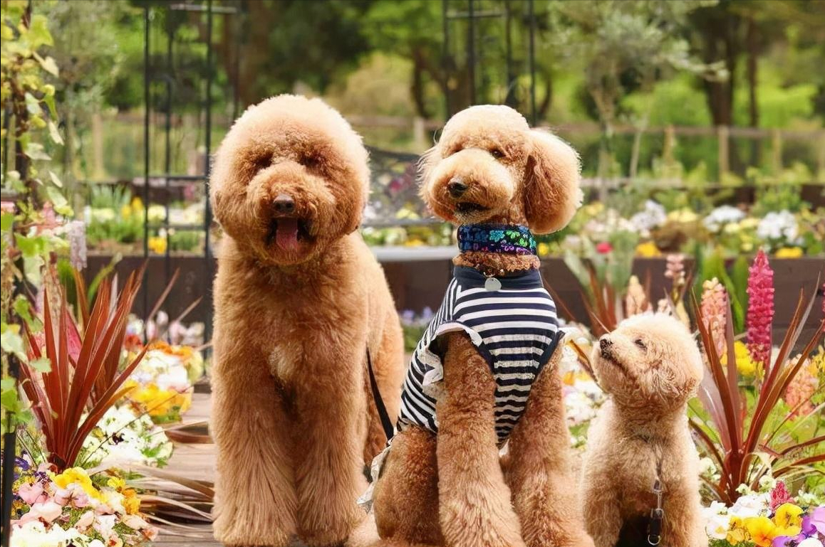 ���͹��Ȯ�ص�---���ݼ���Ȯ