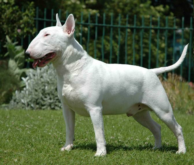 ��ţ��Ȯ�ص�---���ݼ���Ȯ