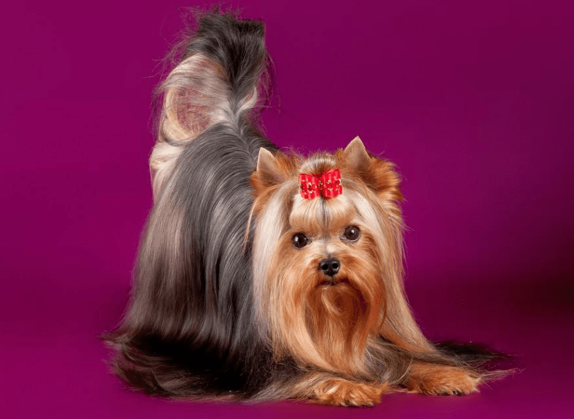 Լ���Ĺ�Ȯ�ص�---���ݼ���Ȯ