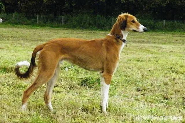 ��·����Ȯ�ص�---���ݼ���Ȯ