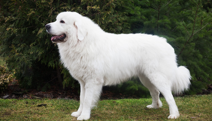 �����Ȯ�ص�---����ѵ��