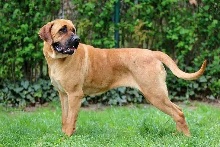 �ձ�����Ȯ�ص�---���ݼ���Ȯ