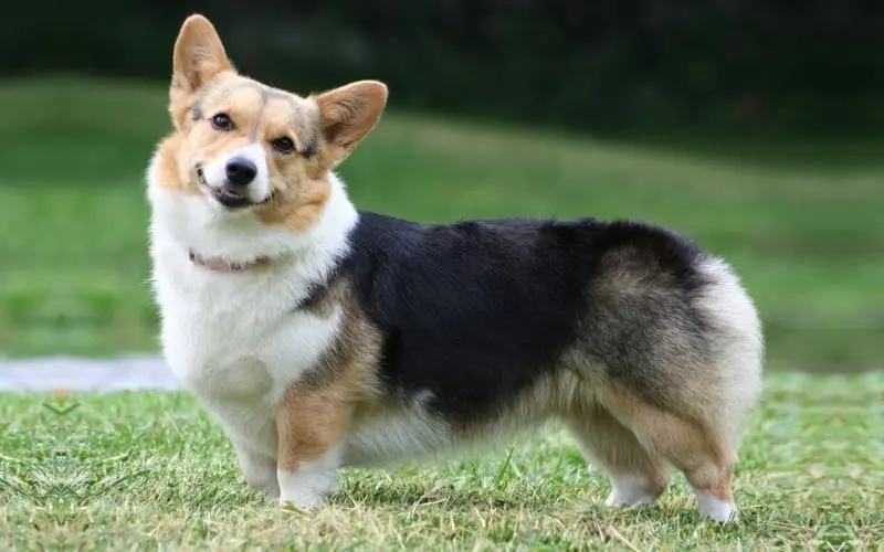 ޿ʿ»Ȯص---ݼȮ
