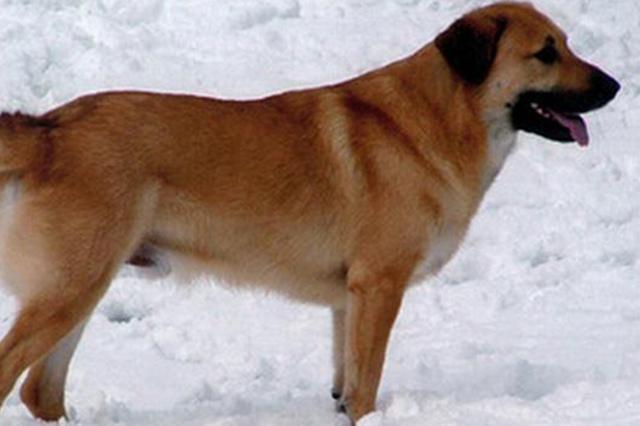 ��Ŭ��Ȯ�ص�---����ѵȮ