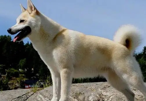 ŲȮص---ݼȮ